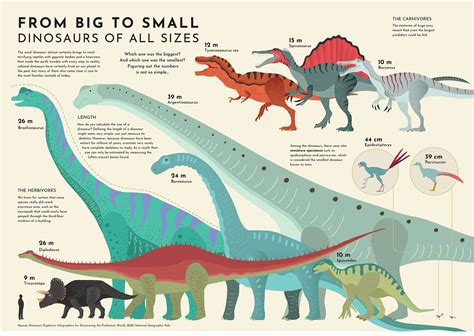Dinosaur Scale Size Comparison