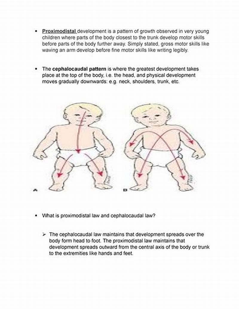 Directional Pattern Of Growth And Development