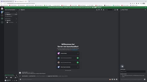 Discord Settings