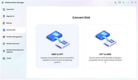 Disk Conversion Process