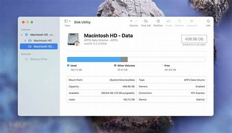 Disk Utility First Aid Hangs Checking Catalog File
