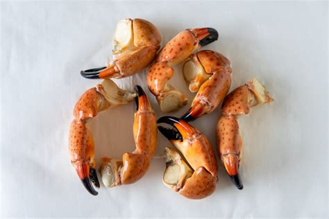 Do Stone Crabs regrow