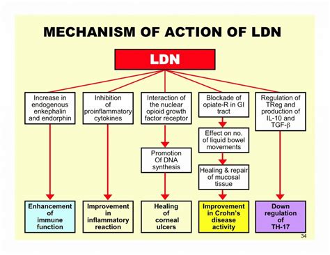 Does LDN help digestion