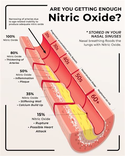 Does alcohol affect nitric oxide