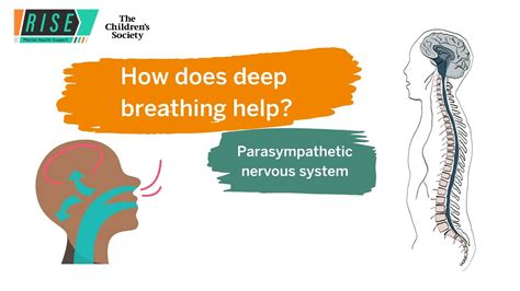 Does breathing help nerves