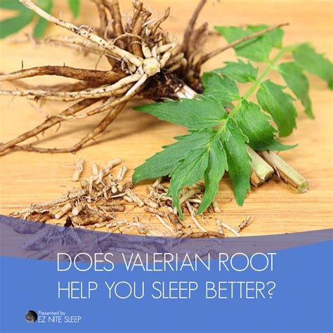 Does valerian help insomnia