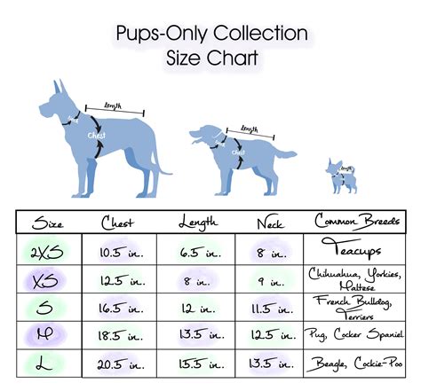 Dog Chest Size Chart
