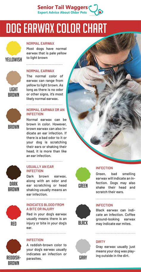 Dog Ear Wax Color Chart