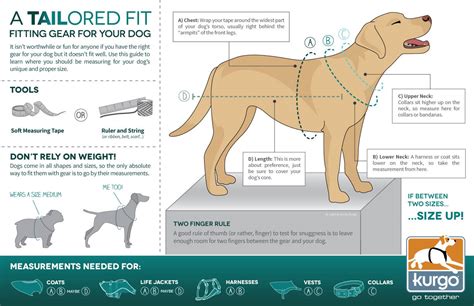 Dog Girth Size Chart