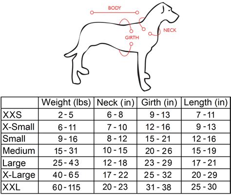 Dog Neck Size Chart