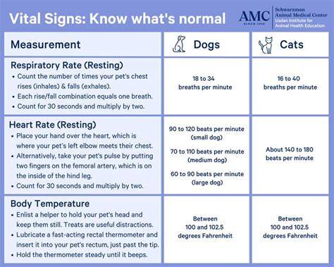 Dog Vital Signs Chart