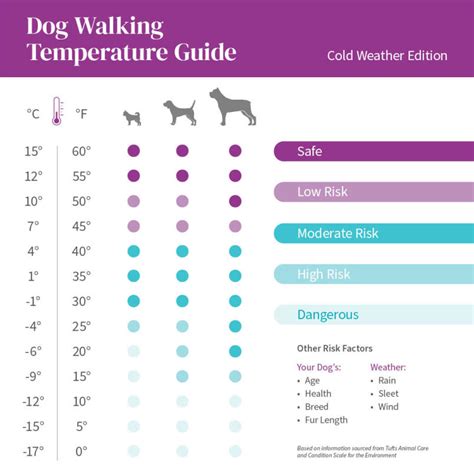 Dog Walk Temperature Chart