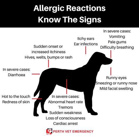 Dogs Allergic Reactions to Tuna Fish