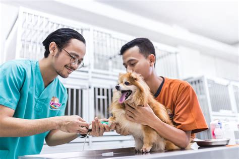 Dokter Hewan Karen Animal Clinic