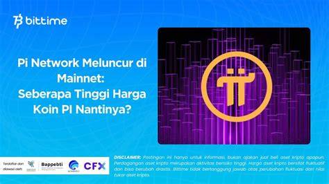 Domain .pi Pi Network Meluncur