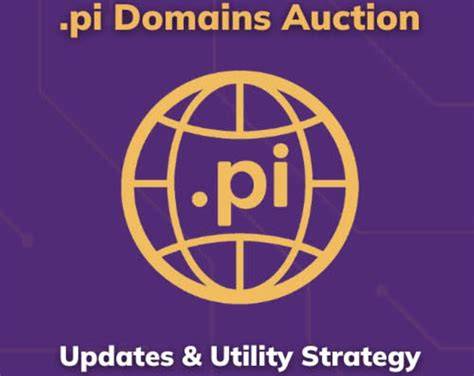Domain .pi Resmi Diluncurkan