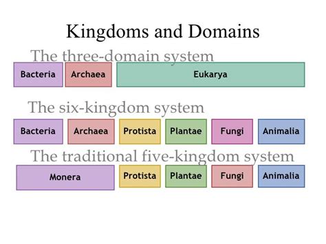 Domains And Kingdoms Chart