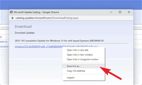 Download Updates From Microsoft Catalogue