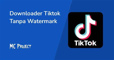 Download Video TikTok Tanpa Watermark