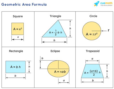Draw Shape And Calculate Area