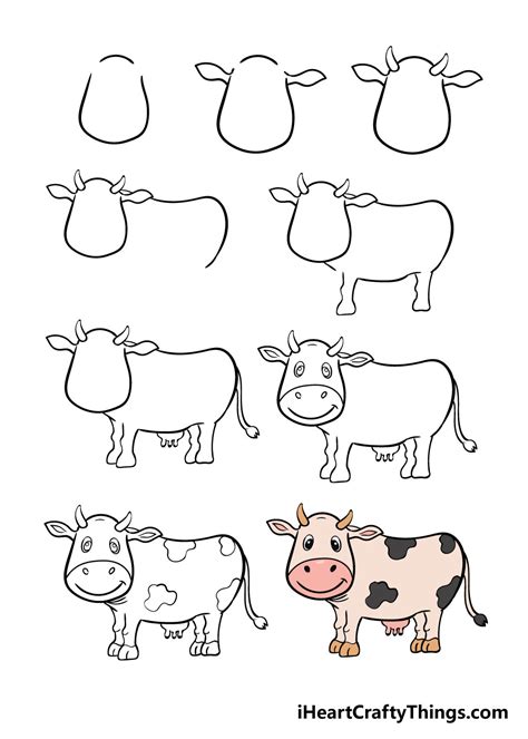 Drawing A Cow Step By Step