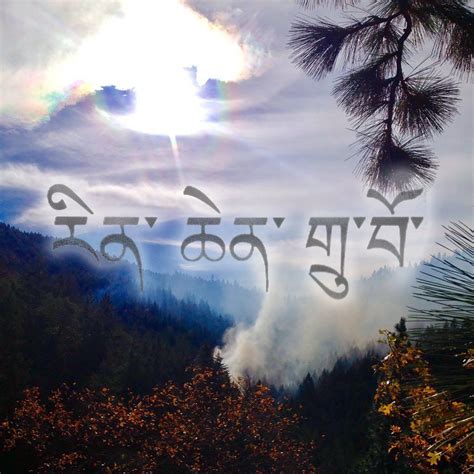 Dream Catalogue Twitter