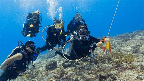 Drift Diving