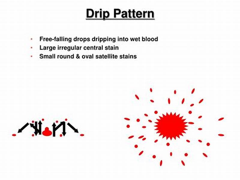 Drip Pattern Forensics
