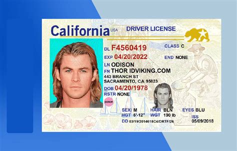 Drivers License Template Psd