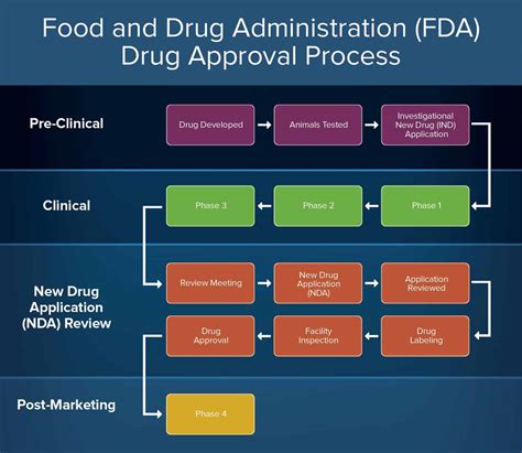 Drug approval process diagram