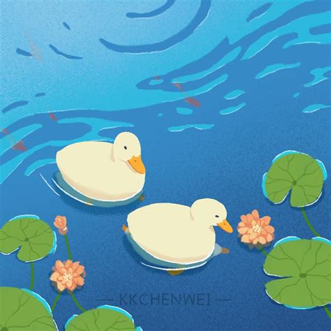 Duck Drawing Background