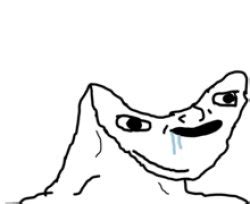 Dumb Person Meme Template