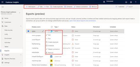 Dynamics 365 Customer Insights Export Error