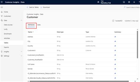 Dynamics 365 Customer Service Insights Data Delay