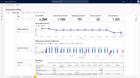 Business Performance Analytics Data Quality