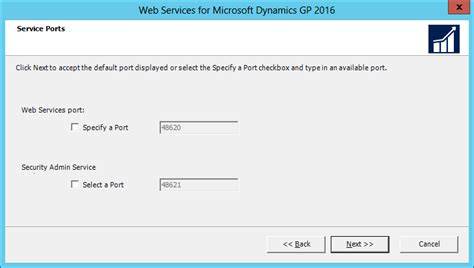Dynamics GP Web Services