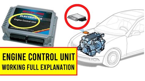 ECU Motor
