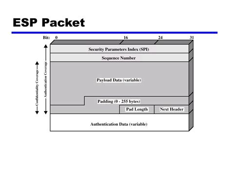 ESP Packet Format