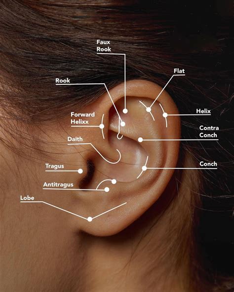 Ear Piercing Placement Chart