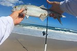East Coast Beach Fishing Reports