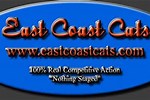 East Coast Cats ECC 97