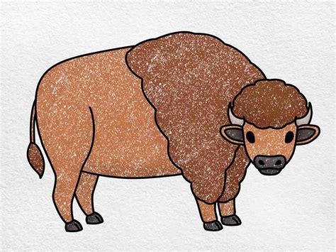 Easy Drawing Of Buffalo