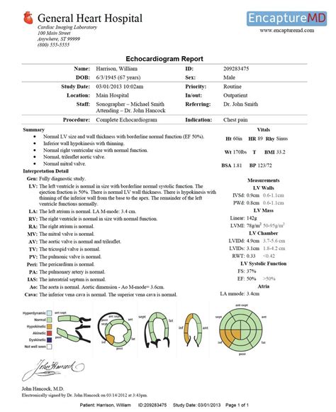 Echocardiography Report Template