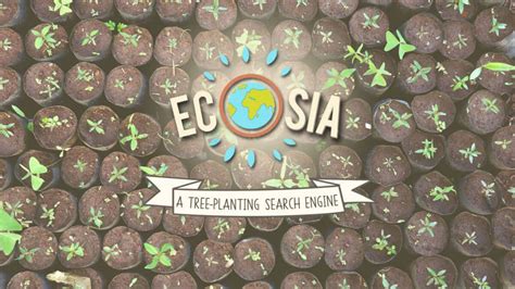Ecosia Tree Planting Search Engine