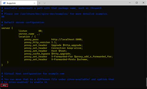 Editing Nginx config file with vi
