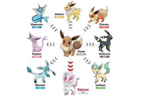Eevee Evolution Chart