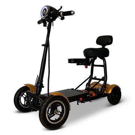 Electric Scooter Accessibility