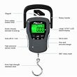 Electronic Digital Scale for Fishing