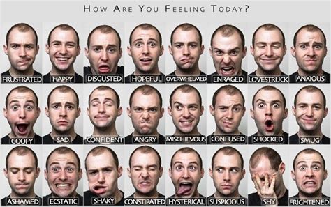 Emotion Facial Expression Chart