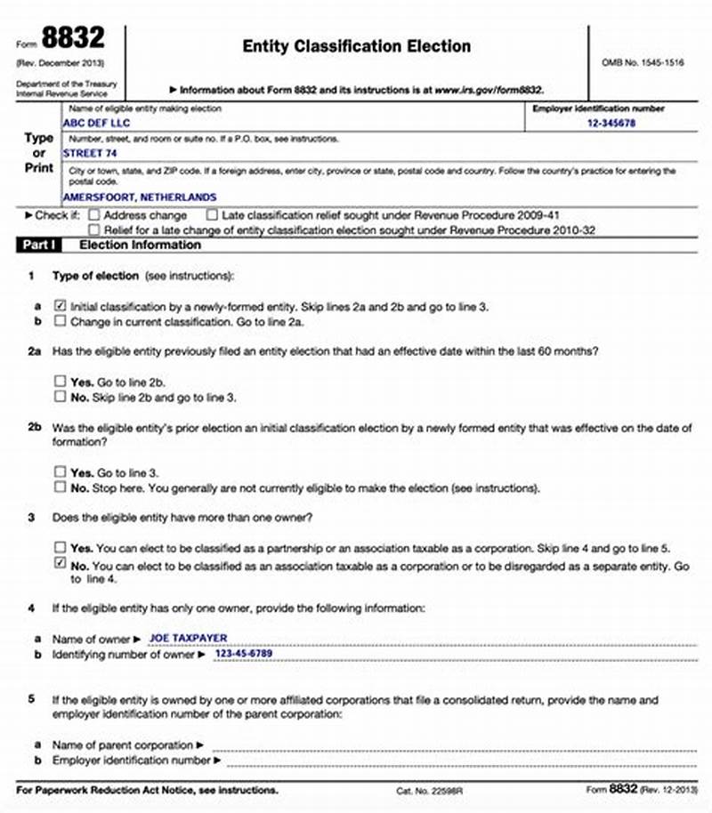 Entity Classification Form